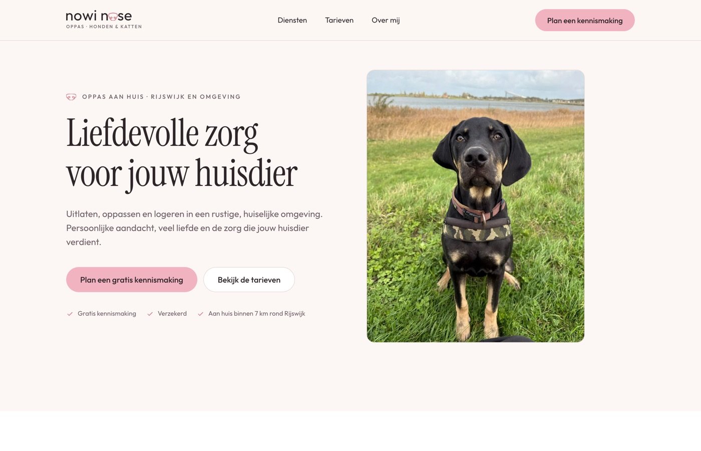 Het werk voor Nowi Nose